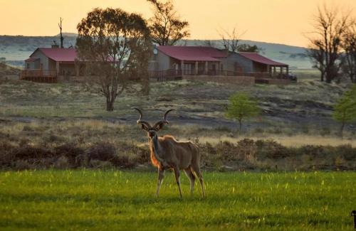 Gariep House | Gannabos Guest House