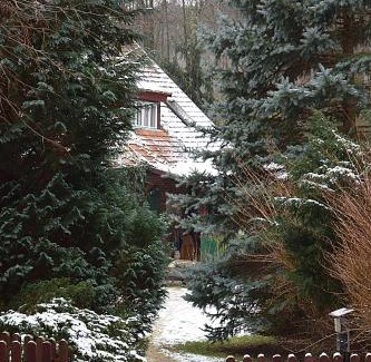 Miedzychod Cabin | Garaże