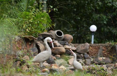 Sirsi House | Garcinia Villa