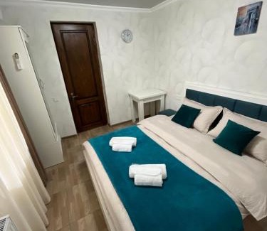 Mtskheta House | garden and panorama