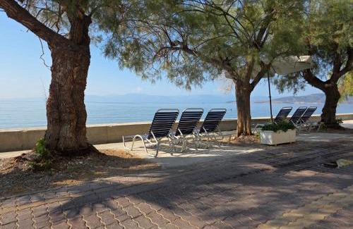 Itea Apartment | Garden apartment 20m from the sea