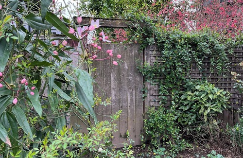 Mississippi District House | Garden Apartment in Hip Mississippi Neighborhood