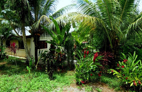 Baru House | Garden Cabina/Bungalow next to Nauyaka WaterFalls