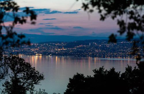 Lugrin Apartment | Garden & City Evian - Lugrin