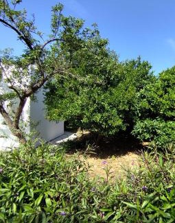 Panormos House | Garden Home