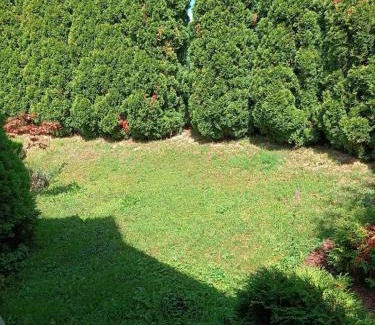 Binjezevo House | Garden House