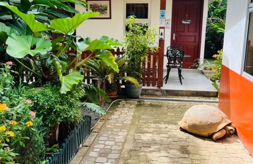 Mahe Island Apartment | Garden Hut