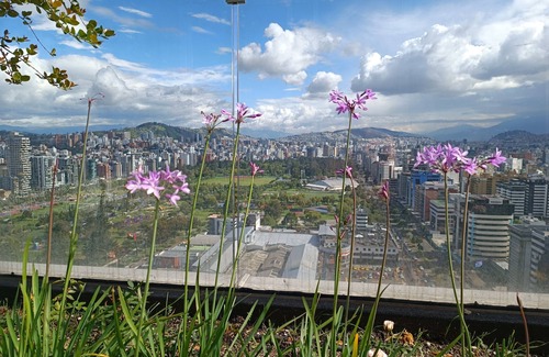 La Carolina Apartment | Garden Penthouse with Balcony - Unique City View
