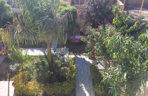 Luxor Apartment | Garden view guest house
