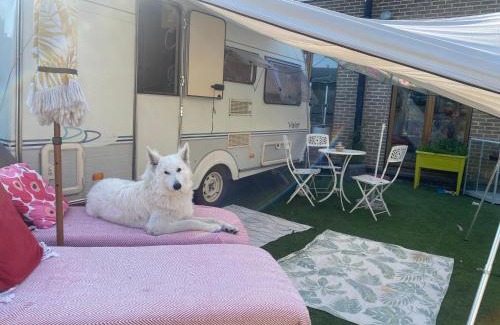 Destelbergen Other | Gardencaravan near Ghent in green area