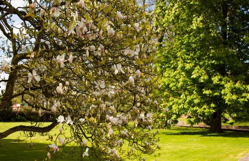 Pembroke Cottage | Gardeners Cottage - sleeps 4 guests in 1 bedroom