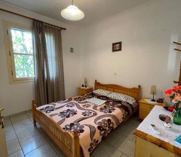 Paralia Agias Fotinis Apartment | Gardens