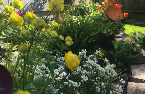 North Star Bed & Breakfast | Gardenside Bed and Breakfast