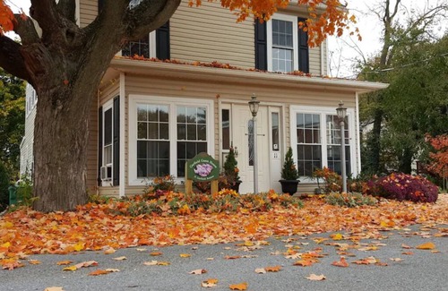 Luray Apartment | Garfield Guest House - Stonyman Suite