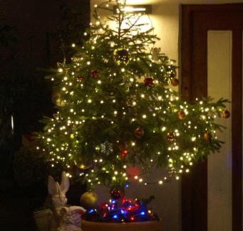 Merano Historic Center Bed & Breakfast | Garni Villa Betty