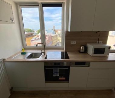 Ostrava City Centre Apartment | Garsoniéra Ostrava City centr, Na Hradbách 118