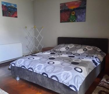 Tirgu Jiu Apartment | GARSONIERA ÎN REGIM HOTELIER