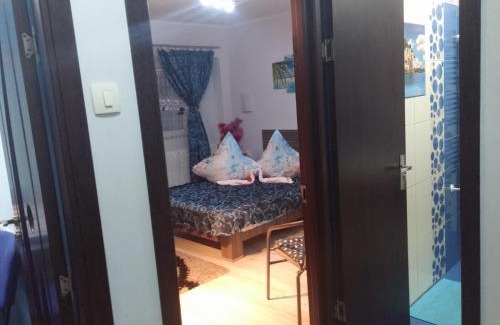 Baile Felix Apartment | Garsoniera Dănuț