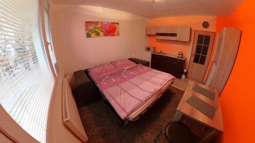 Trebon Apartment | Garsonka Hliník