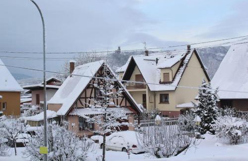 Scherwiller House | Garte Hiesel la maison de jardin Piscine été 2026