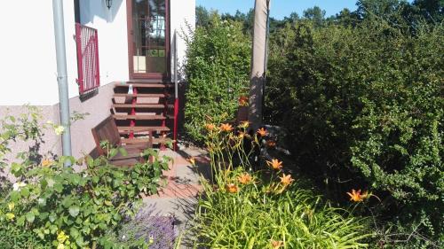 Luetow Apartment | Gartenblick