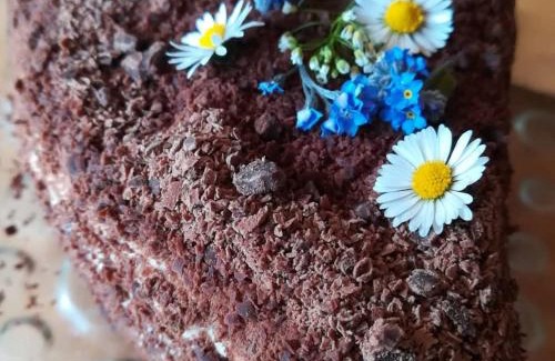 Sankt Kathrein am Offenegg Apartment | Gartenwohnung auf der Sommeralm