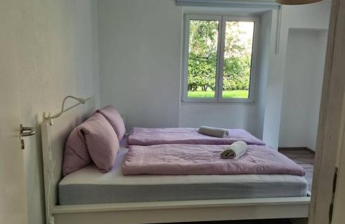 Vira Apartment | Gartenwohnung im Zentrum von Vira/Gamborogno