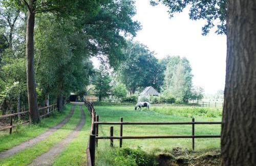 Municipality of Dalfsen House | Gastenverblijf Het Muzehuis