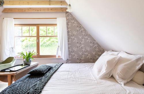 Sint-Andries Bed & Breakfast | Gastenverblijf in Belle epoque woning