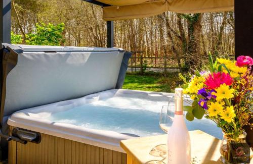 Gastes Ski Chalet | Gastes, Charmant chalet en bois avec Jacuzzi 6 pers