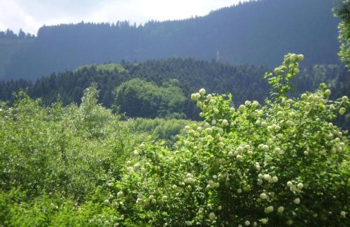 Guckinsdorf House | Gasthaus Finken