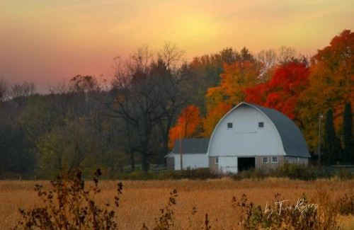 Bridgman House | Gasthaus Fox