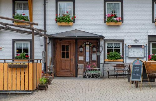 Titisee-Neustadt House | Gasthaus Heiligenbrunnen