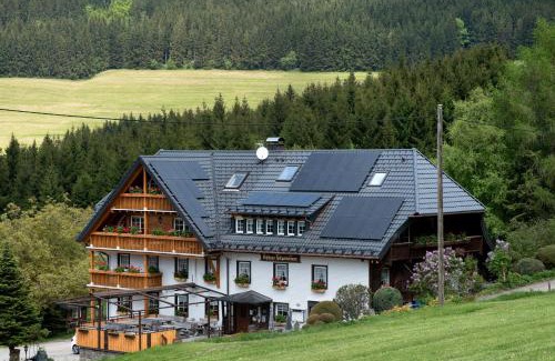 Titisee-Neustadt House | Gasthaus Heiligenbrunnen