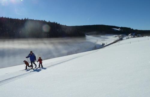 Furtwangen Apartment | Gasthaus Kalte Herberge