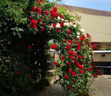 Eckental Hotel | Gasthaus Rotes Ross