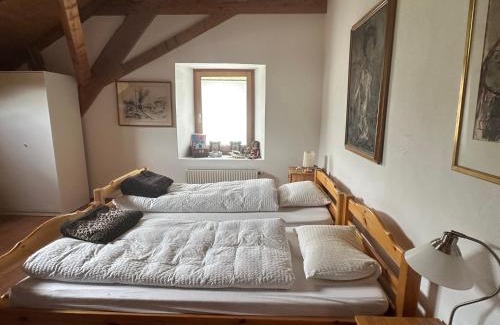 Filisur Hotel | Gasthaus Schöntal