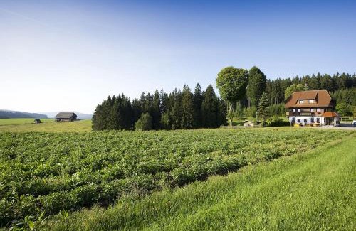 Waldau House | Gasthaus Schweizerhof
