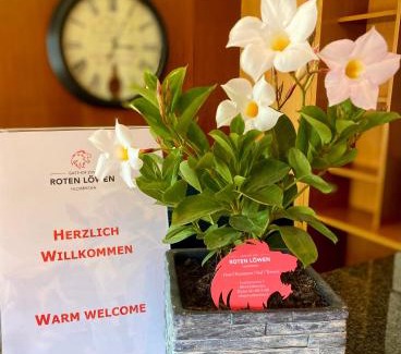 Hildisrieden Hotel | Gasthof zum Roten Löwen