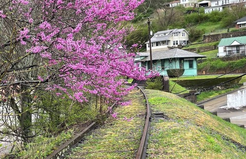 Charlton Heights House | Gauley Bridge train station side two