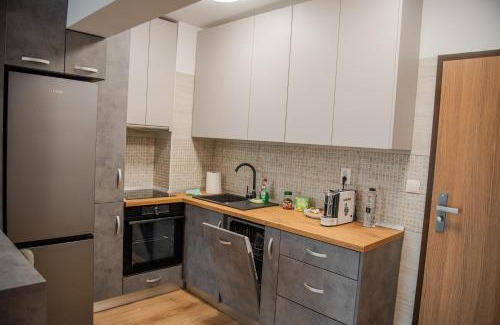 Cluj County Apartment | GAVAS APARTMENTS VIVA City
