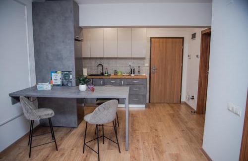Cluj County Apartment | GAVAS APARTMENTS VIVA City