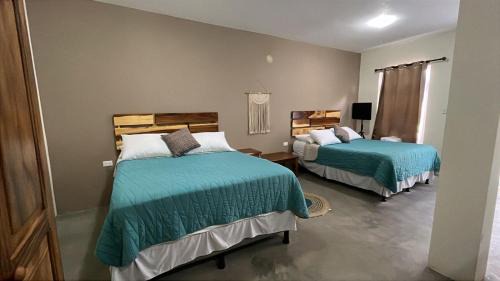 El Paredon Hotel | Gecko Hotel