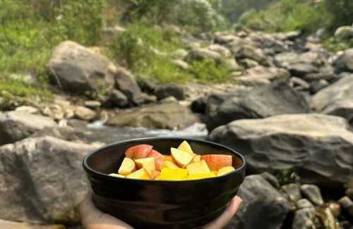 Pauri Hotel | Geeta Ji - Forest Retreat