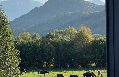 Rasnov House | GEIST holiday home
