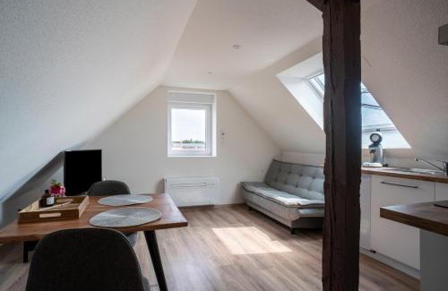 Wissembourg Apartment | Gemütlich 7 - Appartement cosy climatisé