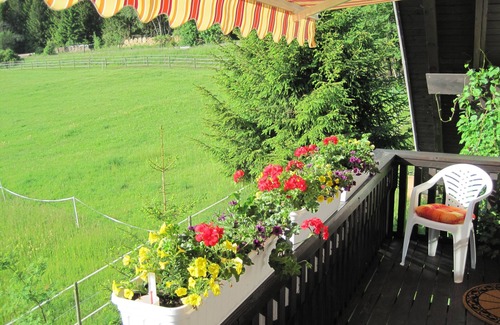 Holzschlag Apartment | Gemütliche Ferienwohnung S´hopfe am Bähnle-radweg und Wutachschlucht