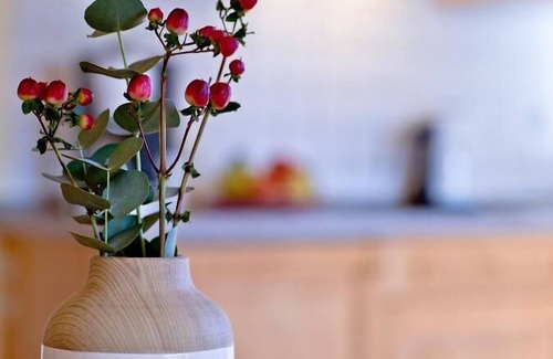 Frauenau Apartment | Gemütliche 57 qm Dachgeschoss-Wohnung - allergikerfreundlich