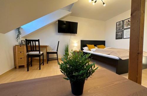 Plauen Apartment | Gemütliche, charmante Ferienwohnung Nähe Zentrum