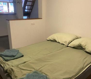 Todtnau Apartment | Gemütliche Ferienwohnung EVIELINE in Todtnau